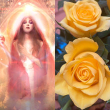 Rose Reiki 🌹💖